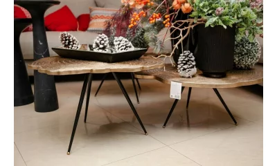 Комплект кофейных столов Eichholtz 111461