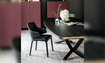 Стул Cattelan Italia Wanda ant374209
