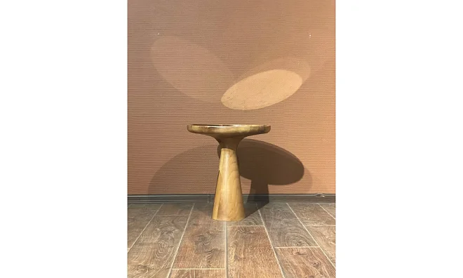 Кофейный столик низкий Homage Wood 423982-2