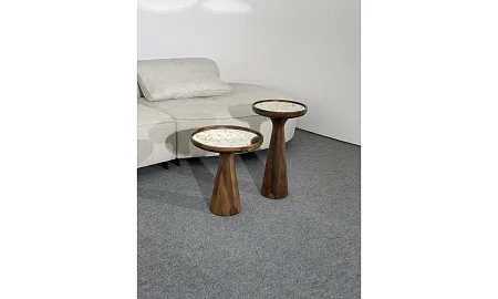 Кофейный столик низкий Homage Wood